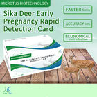 Sika Deer Vroege Zwangerschap RapidDetection Card instructies leverancier
