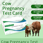 Vroeg zwangerschapstestkaart voor koeien leverancier