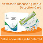 Kippen Newcastle Disease Virus Antibody Rapid Test Card leverancier