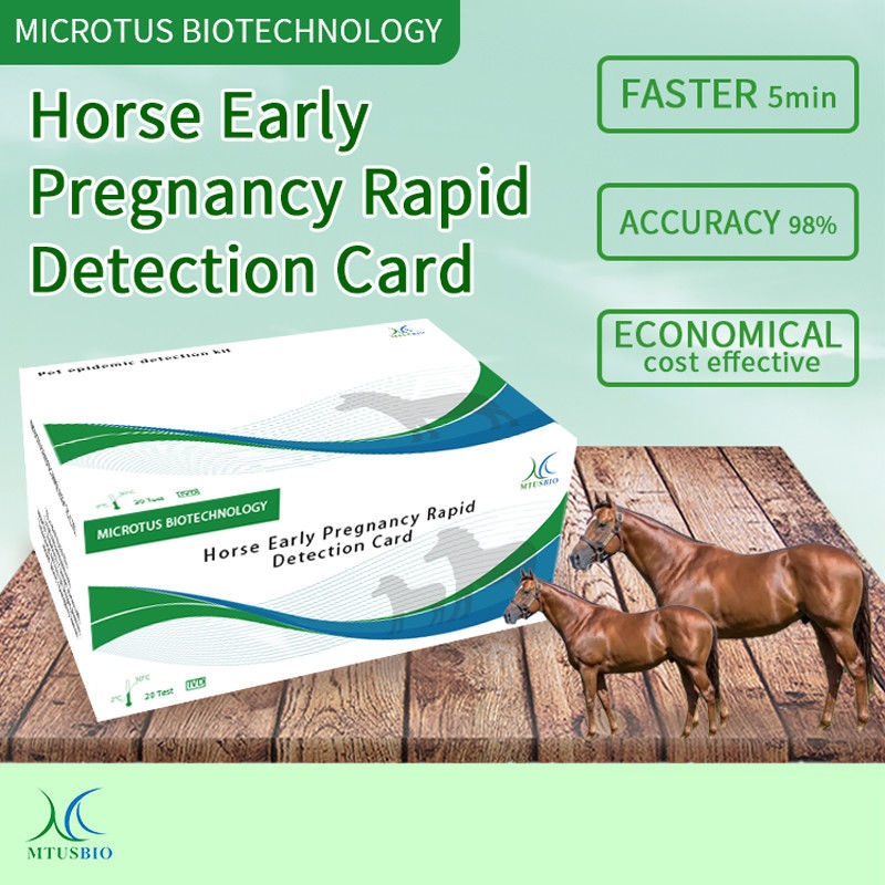 Vroege zwangerschap van paarden Rapid Detection Card leverancier