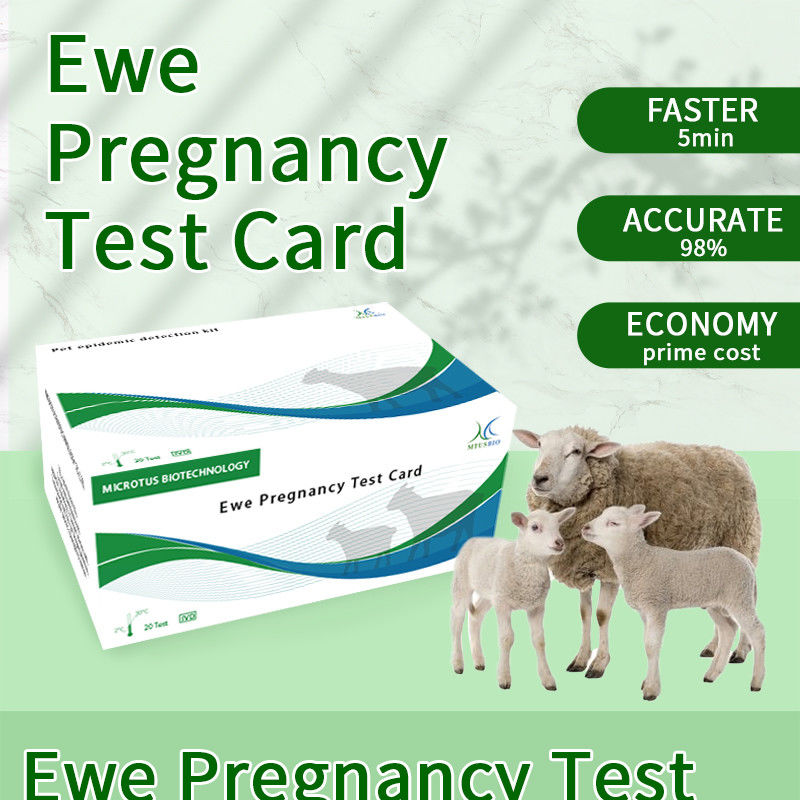 Instructies voor de testkaart voor de vroege zwangerschap van schapen leverancier