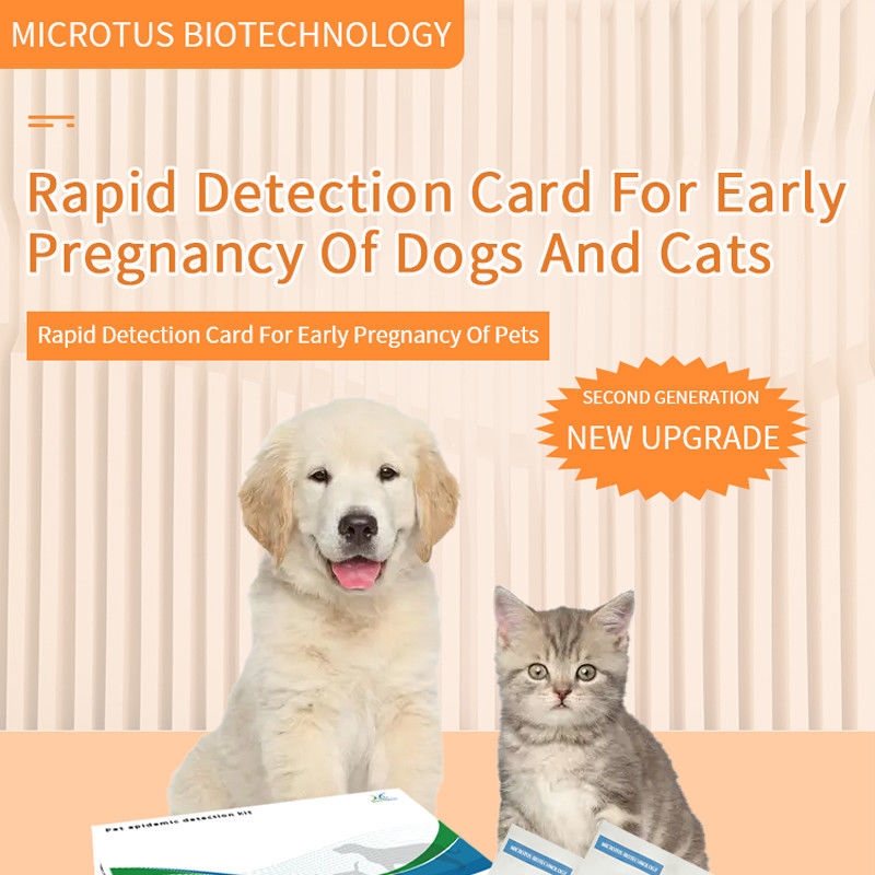 Honden, katten, vroege zwangerschap test kaart instructie handleiding leverancier