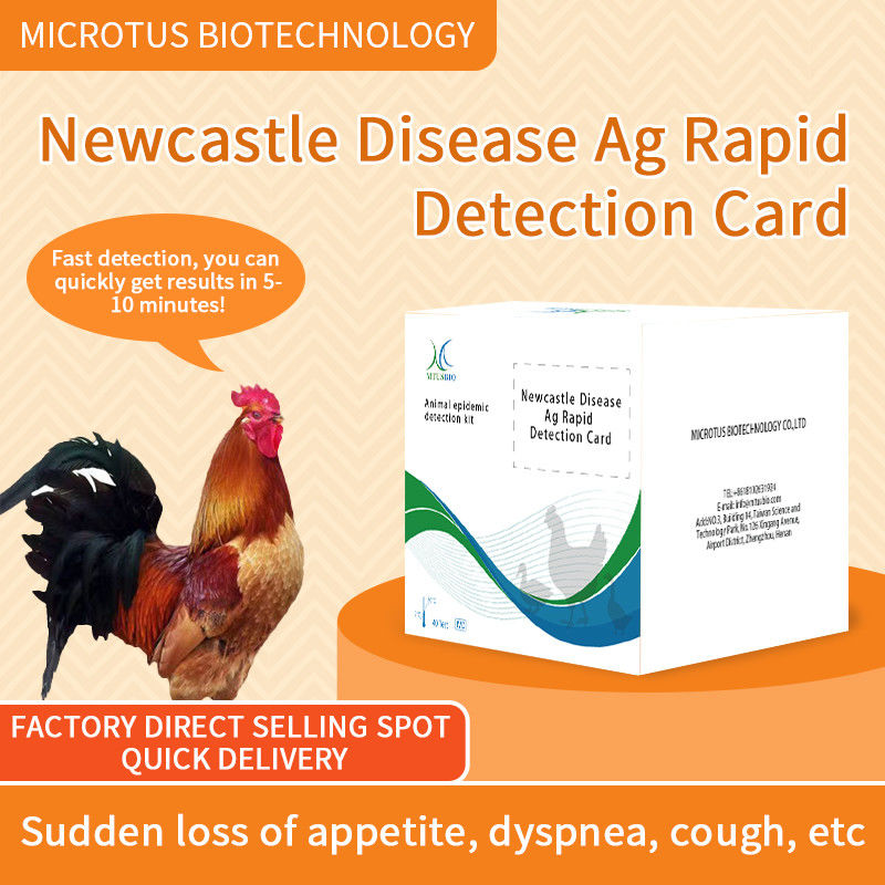 Kippen Newcastle Disease Virus Antibody Rapid Test Card leverancier