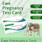 Instructies voor de testkaart voor de vroege zwangerschap van schapen leverancier