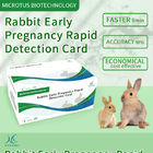 Vroege zwangerschap van konijnen Rapid Detection Card Product handleiding leverancier