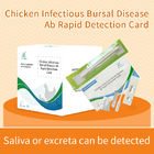 Infectieuze borstziekte van kippenAb Rapid Detection Card leverancier