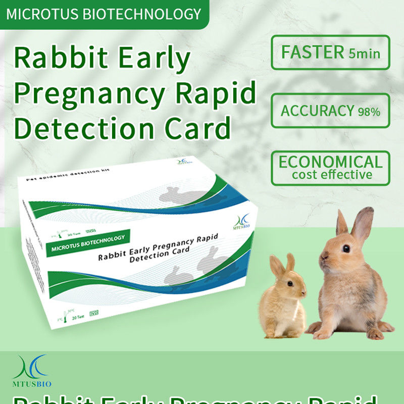 Vroege zwangerschap van konijnen Rapid Detection Card Product handleiding leverancier